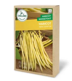 Haricot Nain Stentor 200g CAILLARD