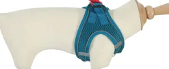 Harnais pour chien mesh turquoise l ZOLUX