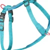 Harnais nylon premium 15mm 30/40 cm turquoise ZOLUX