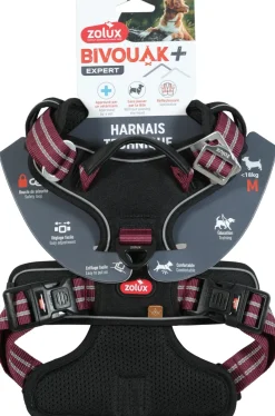 Harnais pour chien bivouak m rouge ZOLUX