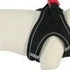 Harnais pour chien mesh noir s ZOLUX