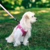 Harnais pour chien mesh rose l ZOLUX