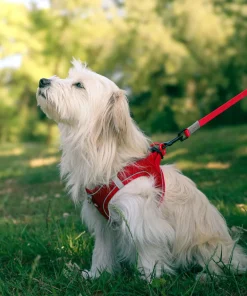 Harnais pour chien mesh rouge xs ZOLUX