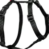 Harnais pour chien nylon classique 10mm 23/39 cm noir ZOLUX