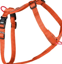 Harnais pour chien nylon premium 25mm 65/97 cm rouille ZOLUX