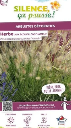Herbe aux écouvillons "Hameln" Pot 4.5L SILENCE ÇA POUSSE