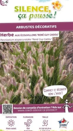 Herbe aux écouvillons "René Guy Cadou" Pot 4.5L