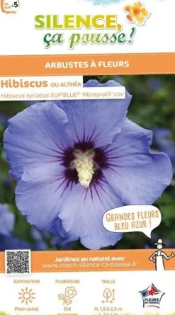 Hibiscus "Sup'Blue Althéa" Pot 4.5L SILENCE ÇA POUSSE