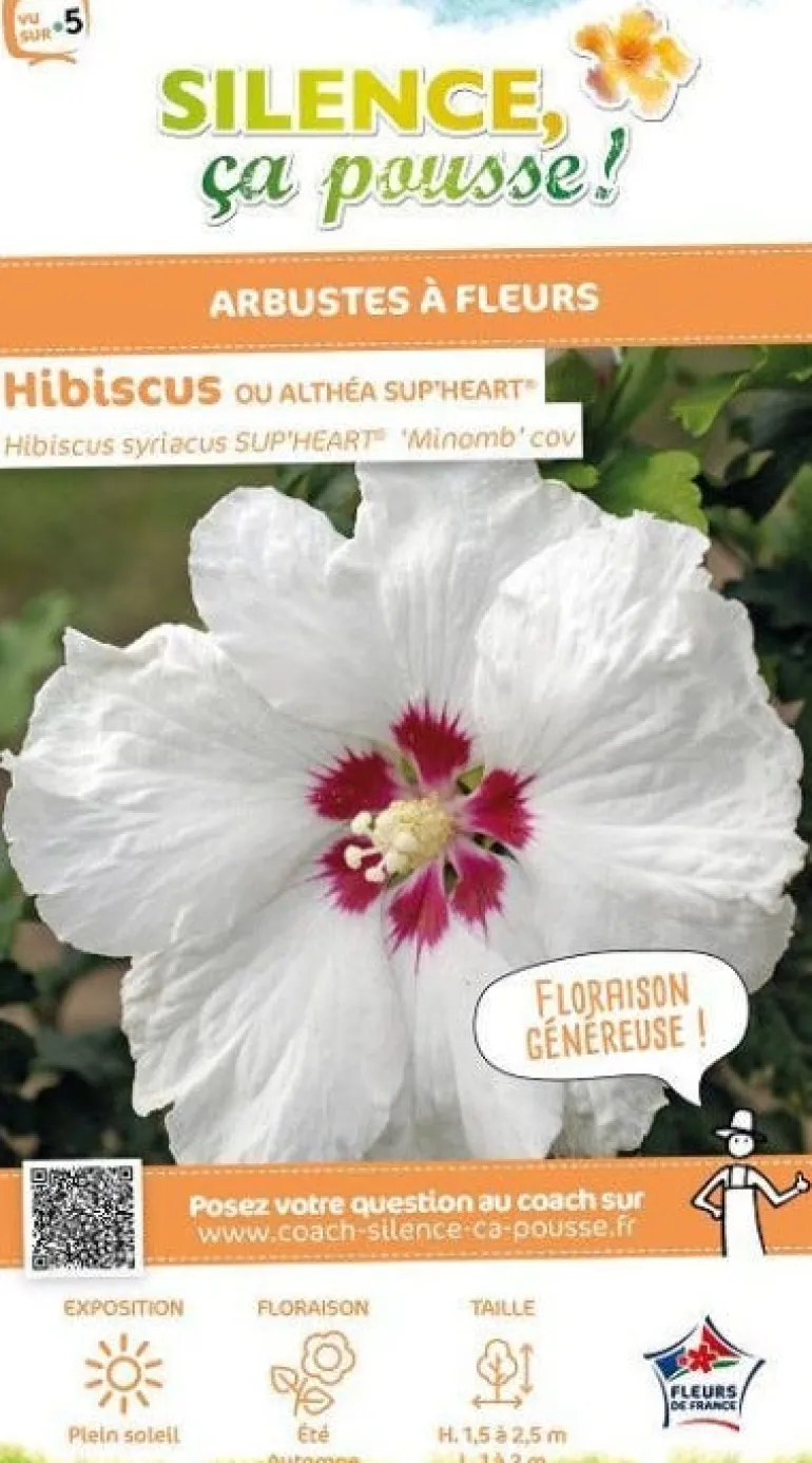Hibiscus "Sup'Heart" Pot 4.5L SILENCE ÇA POUSSE