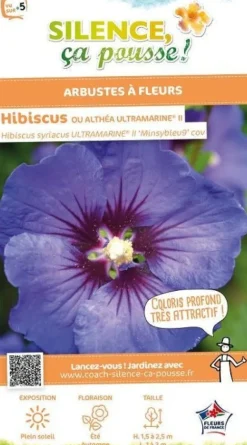 Hibiscus "Ultramarine II, Althéa" Pot 4.5L SILENCE ÇA POUSSE