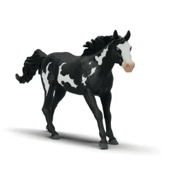 Hongre Paint Horse