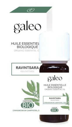 Huile essentielle bio ravintsara