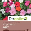 Impatiens Baby Variée 0,2g TERAGILE
