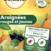 Insecticide araignées rouges et jaunes 100ml SOLABIOL