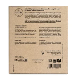 Jachère pour Pollinisateurs 100g+180g vermiculite CAILLARD