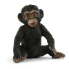 Jeune Chimpanzé