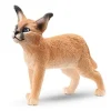 Jeune Caracal 14868 SCHLEICH