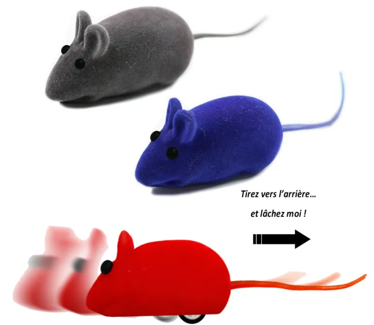 Jouet chat mini souris à friction 3 couleurs assorties ANKA