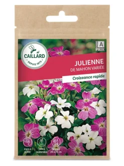 Julienne de Mahon variée 2g CAILLARD