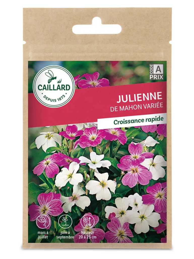 Julienne de Mahon variée 2g CAILLARD