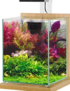 Kit aquarium Jalaya 10L - chêne clair ZOLUX