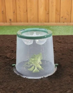 Kit 3 cloches de culture Sunny GARANTIA