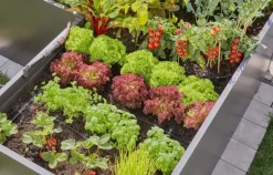 Kit d'initiation pour rangées de plantes jusqu'à 35 plantes