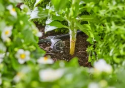 Kit d'initiation pour rangées de plantes jusqu'à 35 plantes