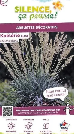 Koélérie "Bleue" Pot 5L SILENCE ÇA POUSSE