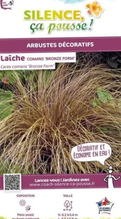 Laîche comans "Bronze Form" Pot 2L SILENCE ÇA POUSSE
