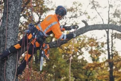 Élagueuse à batterie 36V T535i XP 30 cm HUSQVARNA