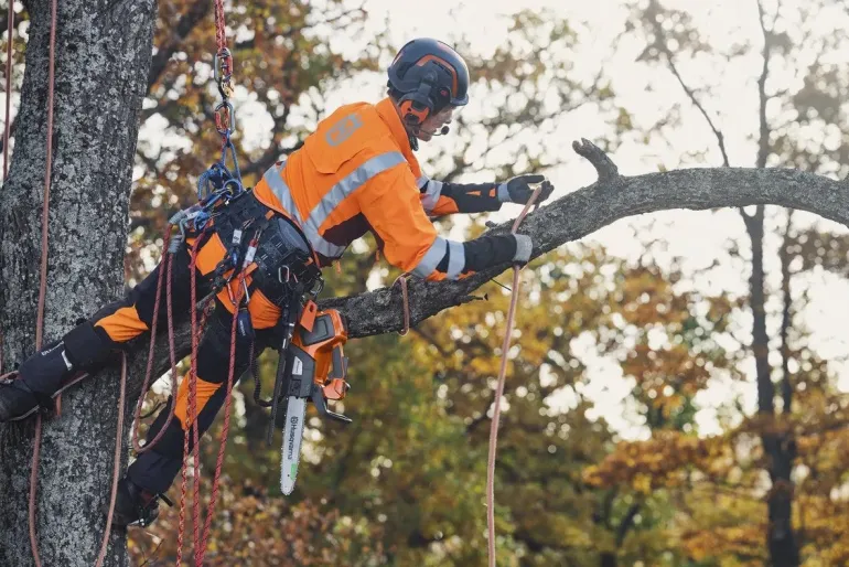 Élagueuse à batterie 36V T535i XP 30 cm HUSQVARNA