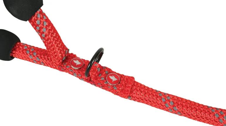 Laisse pour chien corde 10m 13mm rouge ZOLUX