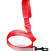 Laisse pour chien nylon premium 20mm 1,20m rouge ZOLUX