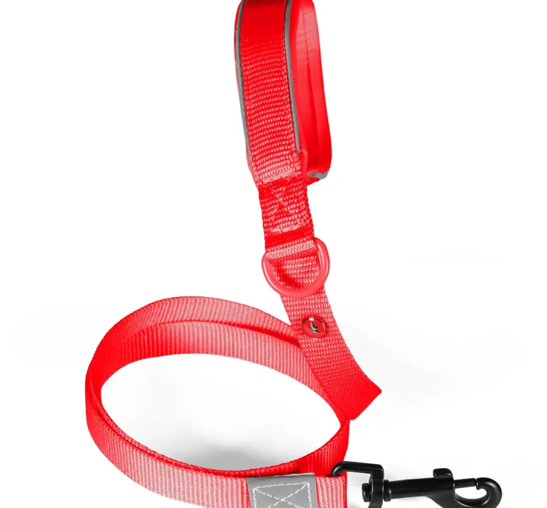 Laisse pour chien nylon premium 20mm 1,20m rouge ZOLUX
