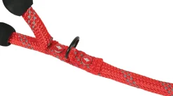 Laisse pour chien corde 2m 13mm rouge ZOLUX