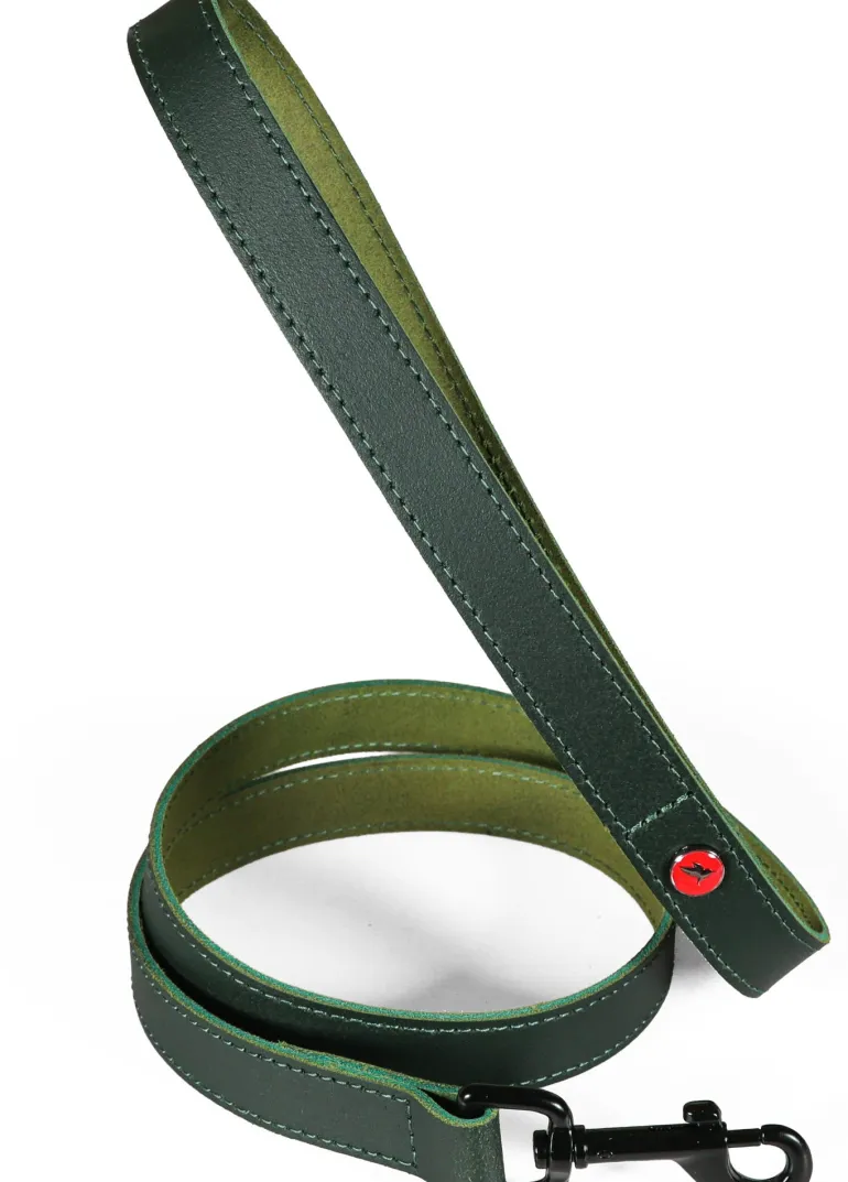 Laisse pour chien cuir classique 1m 20mm vert ZOLUX