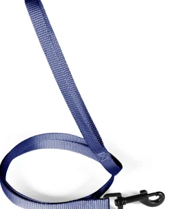 Laisse pour chien nylon classique 25mm 1,20m marin ZOLUX