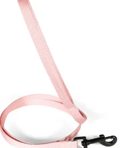Laisse pour chien nylon classique 20mm 1,20m rose ZOLUX