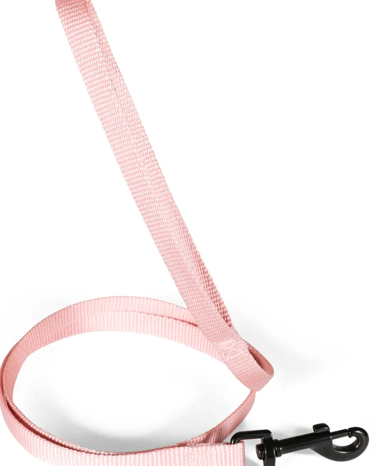 Laisse pour chien nylon classique 20mm 1,20m rose ZOLUX