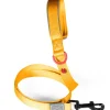 Laisse pour chien nylon premium 20mm 1,20m jaune ZOLUX