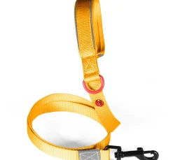 Laisse pour chien nylon premium 20mm 1,20m jaune ZOLUX