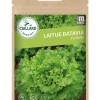 Laitue Batavia Florine 1,2g CAILLARD