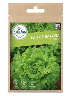 Laitue Batavia Florine 1,2g CAILLARD