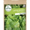 Laitue Batavia Great Lakes 659 4g CAILLARD