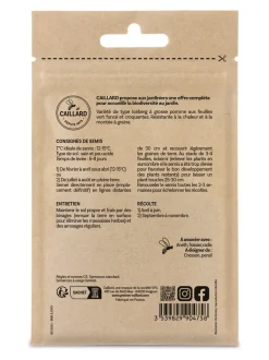 Laitue Batavia Great Lakes 659 4g CAILLARD