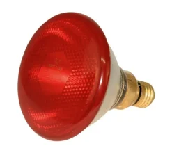 Lampe infrarouge 175 W KERBL