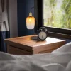 Lampe à poser verre métal noir mat 60W E27 salvy