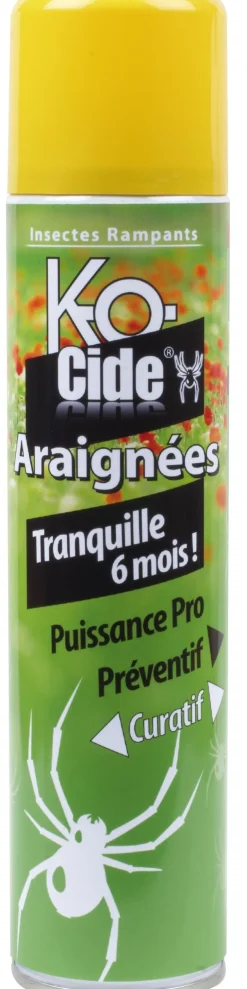 Laque anti-araignées 405 ml
