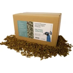 Larves d'insectes pour oiseaux et volailles Nutriworms 1,5kg